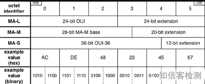 MAC地址申请段编写